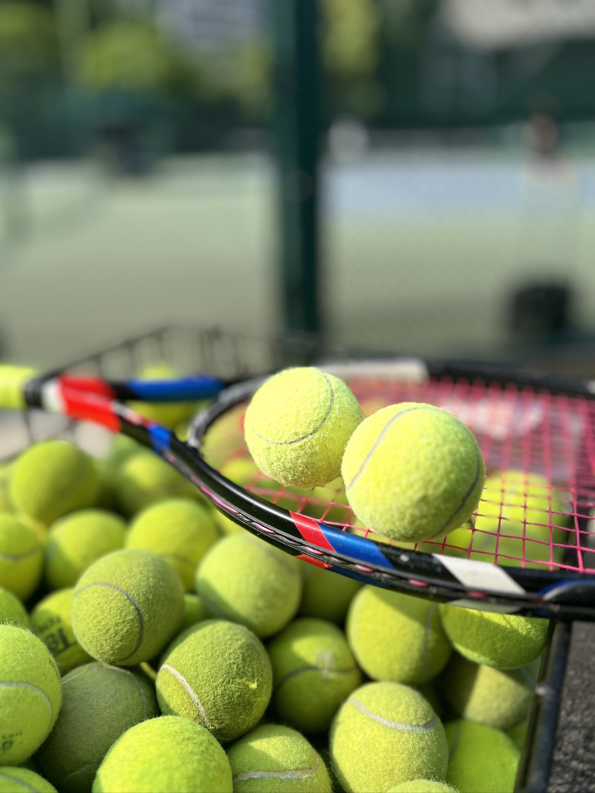 验丰富的老 验丰富的老