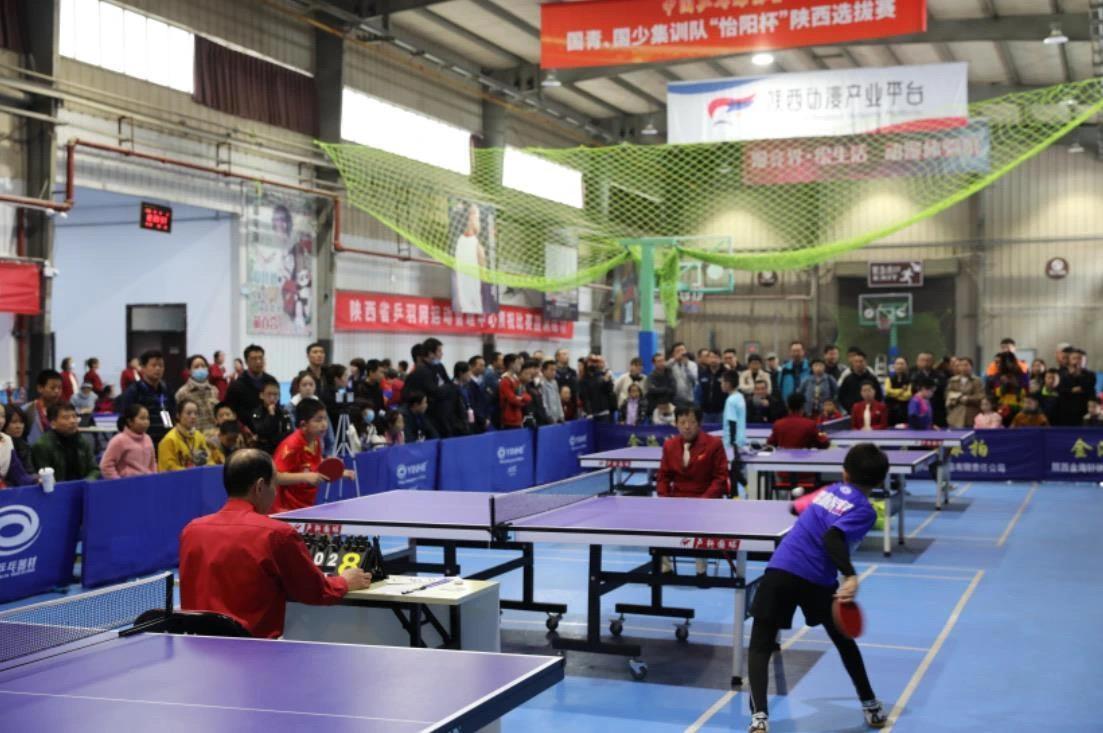 的德甲身价 的德甲身价